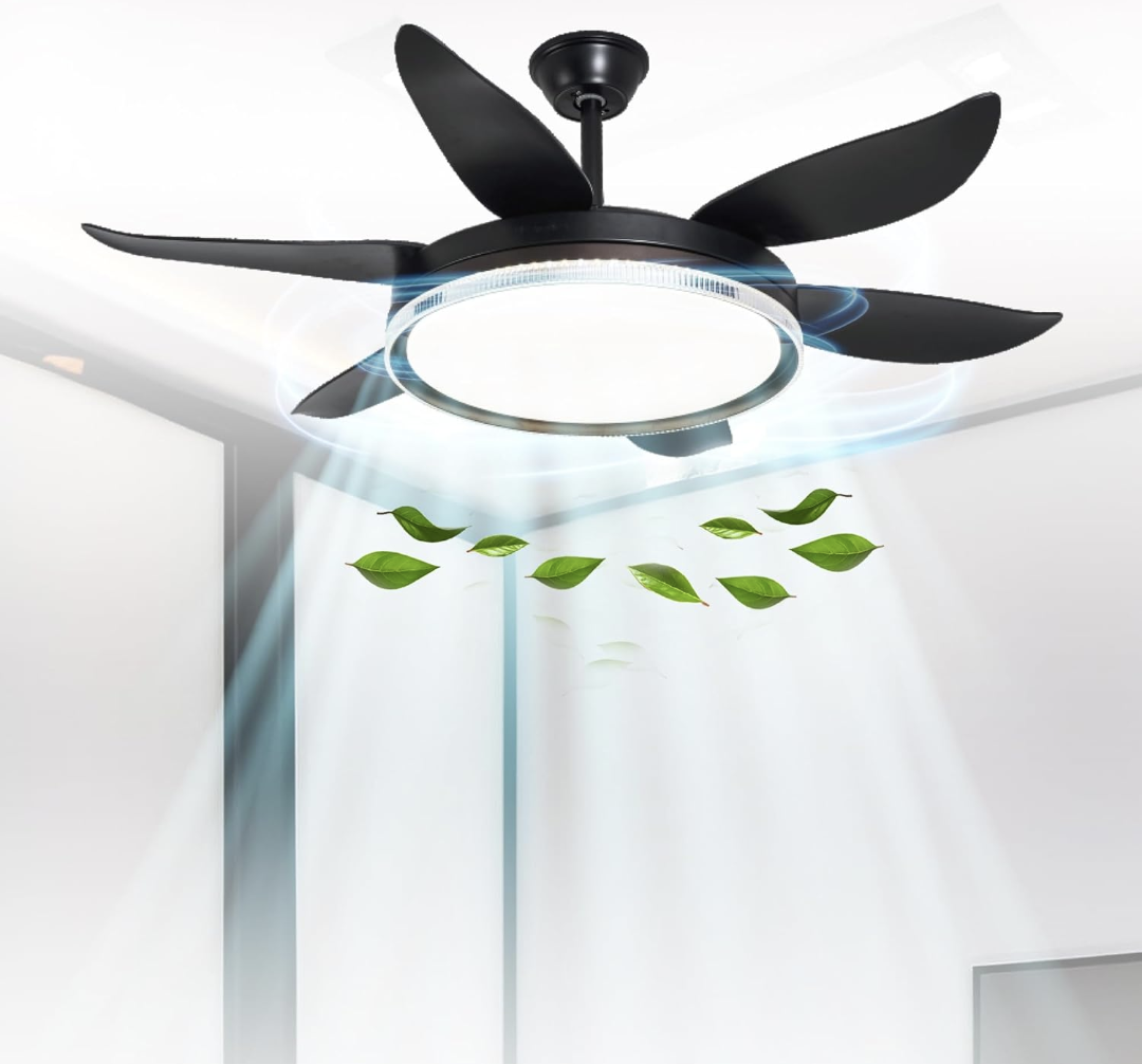 Lampara Salem Con Ventilador De Techo Negro / Lampara-Con-Ventilador-De-Techo-Negro-670156004485166.png